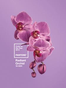 pantone color of the year