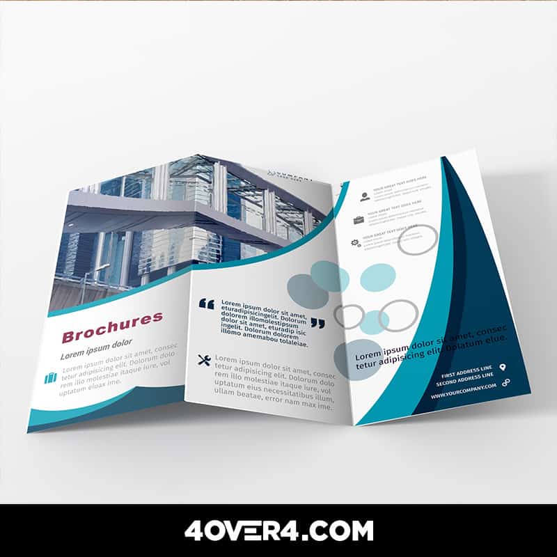z fold brochures